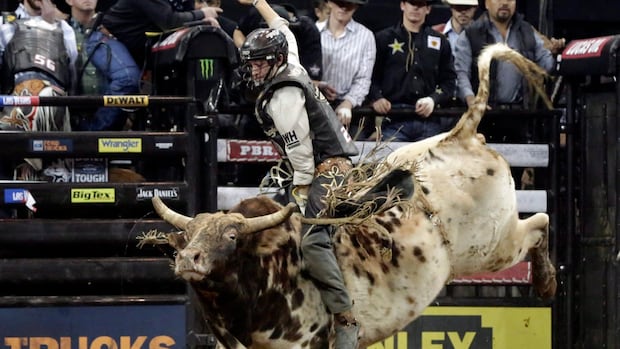 late-bc.-bull-rider-ty-pozzobon-to-be-inducted-into-canadian-pro-rodeo-hall-of-fame