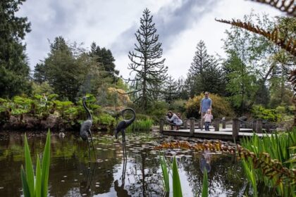 residents-turned-a-golf-course-into-a-public-garden.-50-years-on,-vandusen-botanical-garden-is-an-urban-oasis