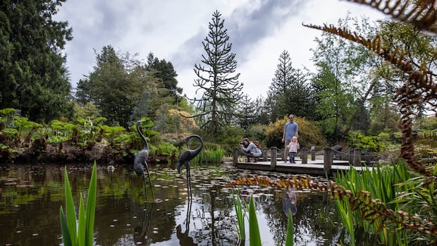 residents-turned-a-golf-course-into-a-public-garden.-50-years-on,-vandusen-botanical-garden-is-an-urban-oasis