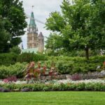 green-space-helped-avert-pandemic-depression,-research-confirms