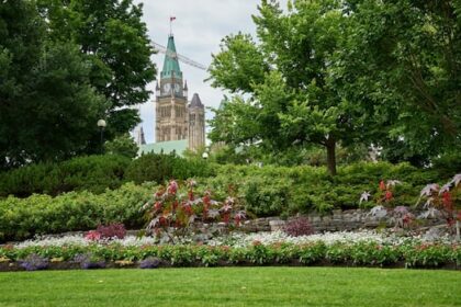 green-space-helped-avert-pandemic-depression,-research-confirms