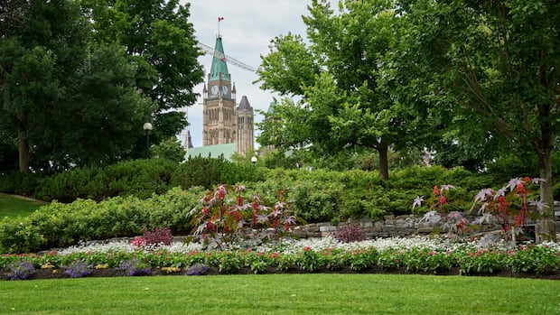 green-space-helped-avert-pandemic-depression,-research-confirms