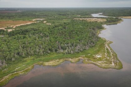 family-of-late-lennox-island-chief-donates-333-acres-for-conservation-in-his-memory
