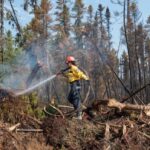 2-of-11-new-brunswick-wildfires-classified-as-out-of-control
