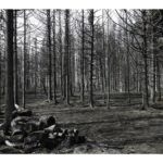 most-intense-fire-in-long-lake-at-southern-end-of-blaze