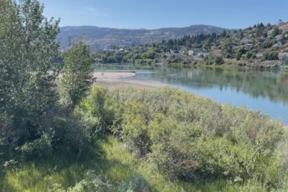 heat-warnings-issued-for-parts-of-bc.-interior,-north-coast