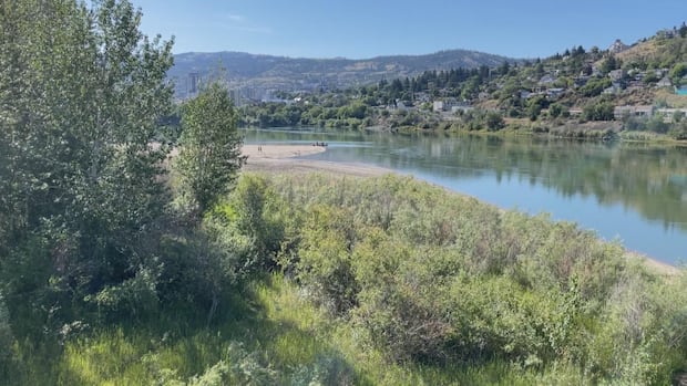 heat-warnings-issued-for-parts-of-bc.-interior,-north-coast