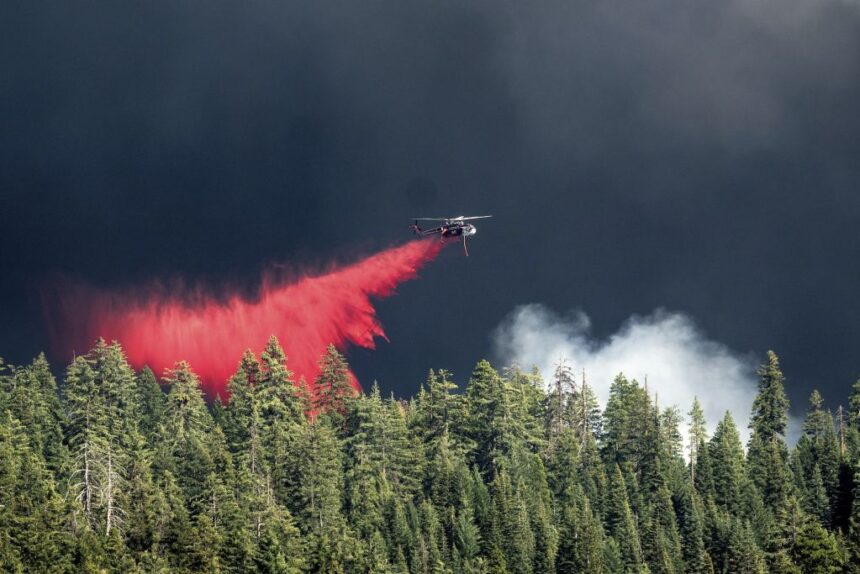 wildfire-retardants-help-stop-fires-but-also-impact-ecosystems