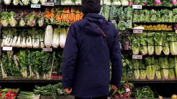 can-a-non-corporate-grocery-chain-work-across-canada?