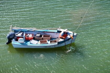 challenges-loom-for-pei.’s-wild-oyster-fishers-as-fall-season-gets-underway