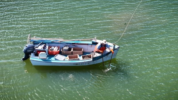 challenges-loom-for-pei.’s-wild-oyster-fishers-as-fall-season-gets-underway