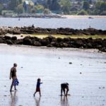 more-heat-and-smoke-in-the-forecast-for-bc.-as-temperature-records-tumble
