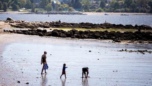 more-heat-and-smoke-in-the-forecast-for-bc.-as-temperature-records-tumble