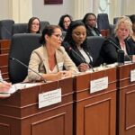 advocates-say-ns.-falling-short-on-treating-intimate-partner-violence-as-epidemic