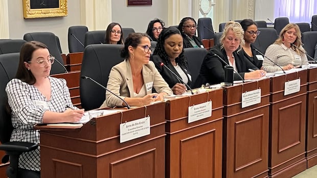 advocates-say-ns.-falling-short-on-treating-intimate-partner-violence-as-epidemic