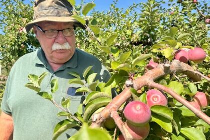 western-pei.-orchard-expecting-‘high-quality’-crop-this-year,-but-next-season-could-be-iffy