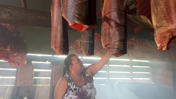 ‘this-is-what-our-ancestors-did’:-tl’azt’ennation’s-smokehouses-full-of-salmon-for-first-time-in-decades