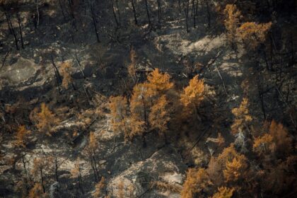 a-wildfire-in-southern-ontario-burns-differently.-heres-why