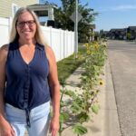 city-of-saskatoon-orders-removal-of-‘unique’-neighbourhood-sidewalk-sunflowers