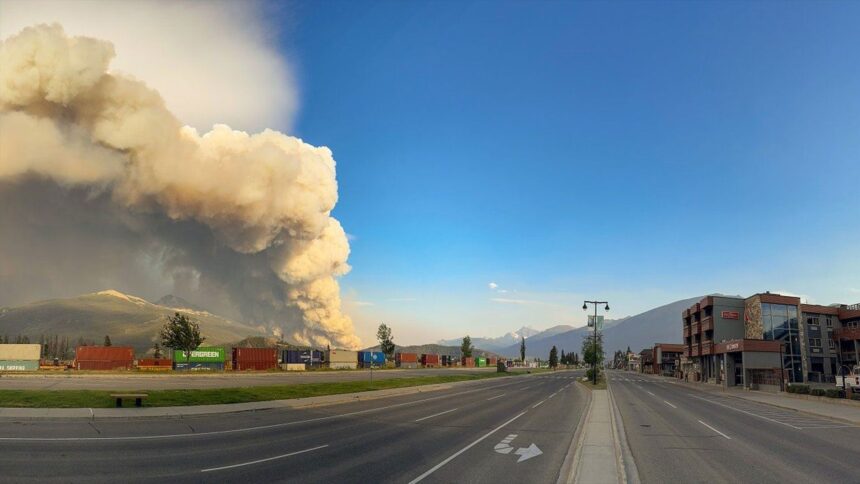 one-year-on,-recovery-from-fire-in-jasper-national-park-expected-to-take-decades