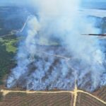 nb.-wildfire-situation-improving;-season-expected-to-run-until-mid-october
