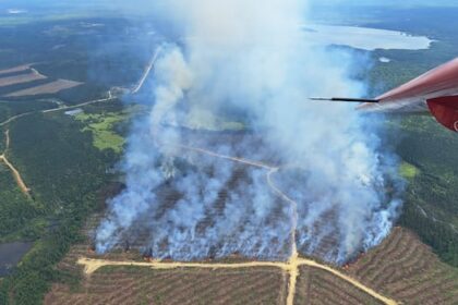 nb.-wildfire-situation-improving;-season-expected-to-run-until-mid-october