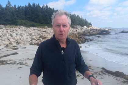 why-shark-encounters-are-happening-more-often-in-nova-scotia