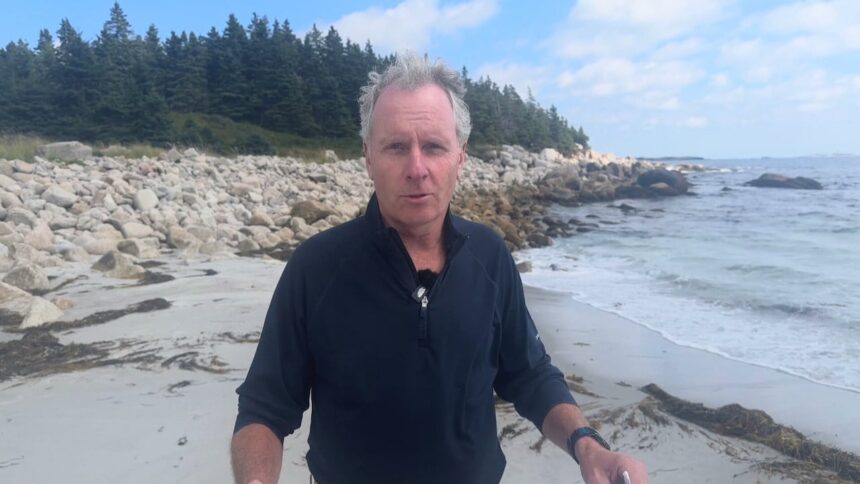 why-shark-encounters-are-happening-more-often-in-nova-scotia