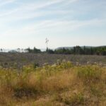 activists-question-why-nova-scotia-isn’t-providing-glyphosate-aerial-spray-locations