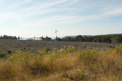 activists-question-why-nova-scotia-isn’t-providing-glyphosate-aerial-spray-locations
