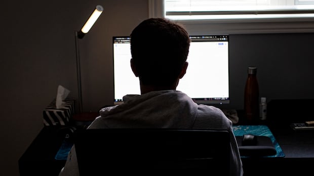 expert-worries-about-screen-time,-supervision-as-some-bc.-students-try-hybrid-learning-this-fall