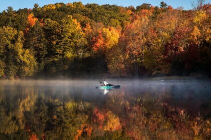 drought-across-canada-could-lead-to-duller-fall-colours,-ontario-biologist-says