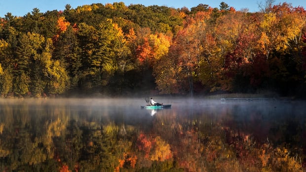 drought-across-canada-could-lead-to-duller-fall-colours,-ontario-biologist-says