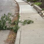 warnings-in-place-for-southern-saskatchewan-as-wind-storm-blows-in