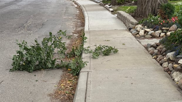 warnings-in-place-for-southern-saskatchewan-as-wind-storm-blows-in