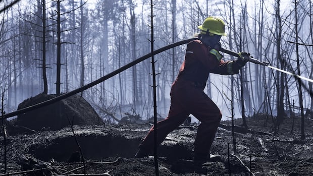 ‘i-didn’t-expect-anything-to-be-left,’-says-firefighter-of-long-lake-effort
