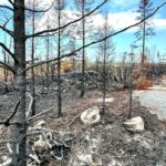 ns-has-handed-out-over-$1m-in-fire-ban-tickets.-how-much-has-actually-been-collected?
