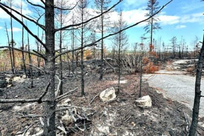 ns-has-handed-out-over-$1m-in-fire-ban-tickets.-how-much-has-actually-been-collected?