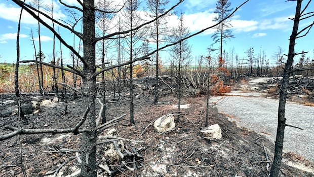 ns-has-handed-out-over-$1m-in-fire-ban-tickets.-how-much-has-actually-been-collected?