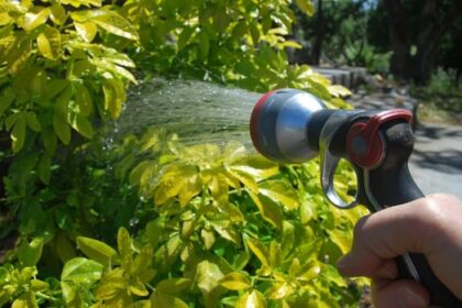 mandatory-water-restriction-order-issued-for-some-west-hants-residents