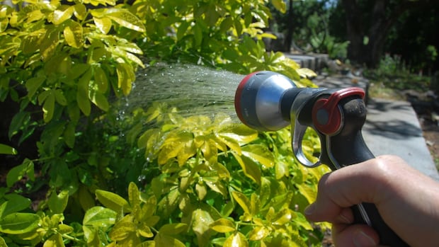 mandatory-water-restriction-order-issued-for-some-west-hants-residents