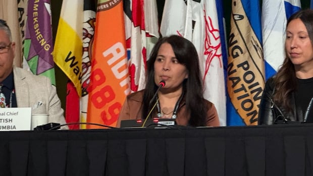 first-nations-leaders-talk-repatriation-of-cultural-items-on-final-day-of-afn-annual-general-assembly