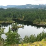 19-year-old-drowns-in-upper-thetis-lake-on-vancouver-island:-rcmp