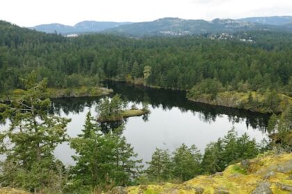 19-year-old-drowns-in-upper-thetis-lake-on-vancouver-island:-rcmp