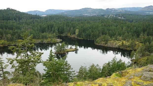 19-year-old-drowns-in-upper-thetis-lake-on-vancouver-island:-rcmp