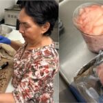 what-does-narwhal-taste-like?-in-iqaluit,-it’s-a-tasty-way-to-help-keep-inuit-culture-alive