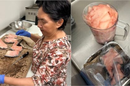 what-does-narwhal-taste-like?-in-iqaluit,-it’s-a-tasty-way-to-help-keep-inuit-culture-alive
