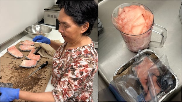 what-does-narwhal-taste-like?-in-iqaluit,-it’s-a-tasty-way-to-help-keep-inuit-culture-alive