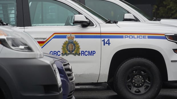 pedestrian-dies-after-being-struck-by-transport-truck-in-northern-nb.