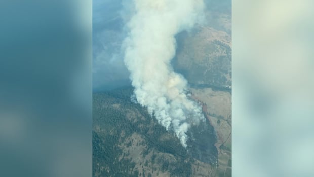 wildfire-behind-gas-station-sparks-evacuation-order-in-bc.’s-okanagan